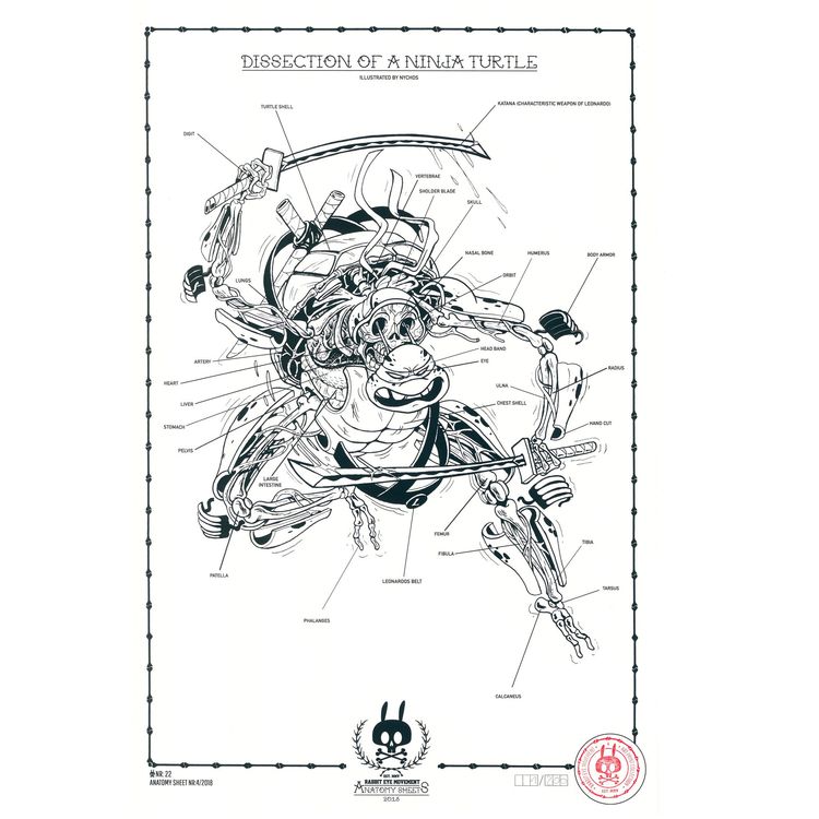 ANATOMY SHEET - No.22 by Nychos
