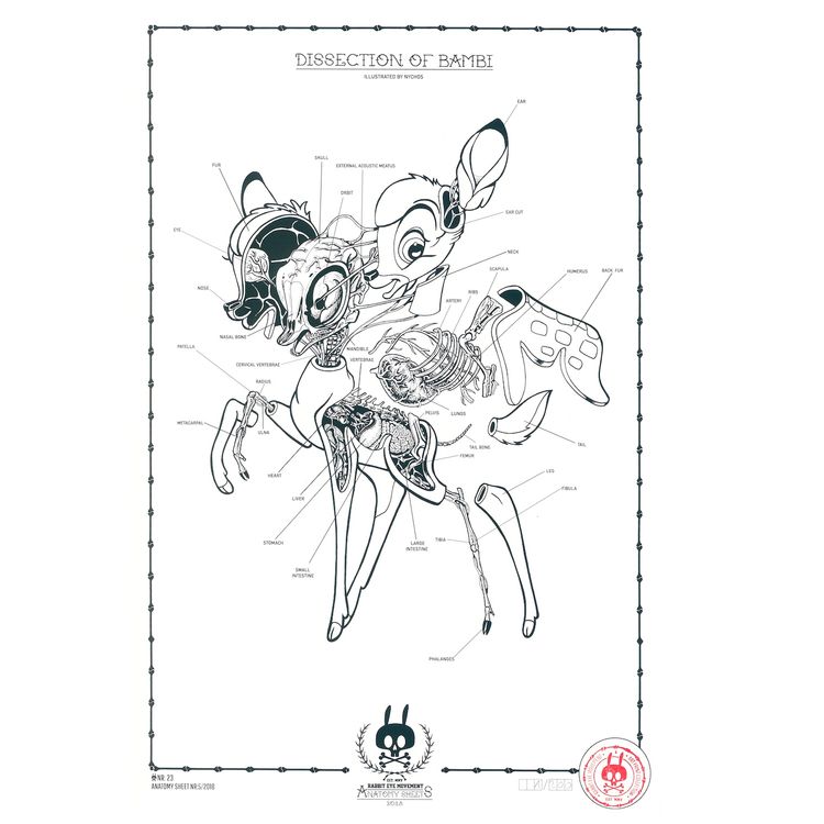 ANATOMY SHEET - NO.23 by Nychos