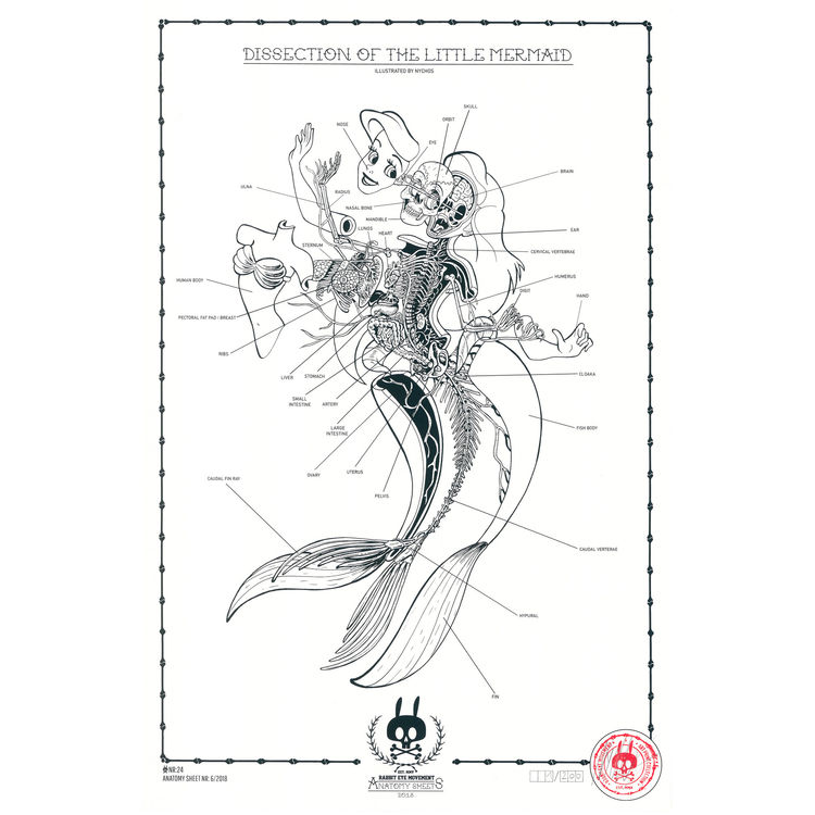 ANATOMY SHEET - NO.24 by Nychos