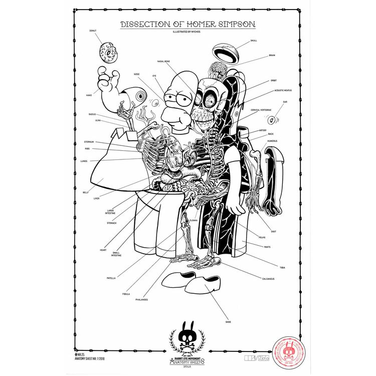 ANATOMY SHEET - NO.25 by Nychos