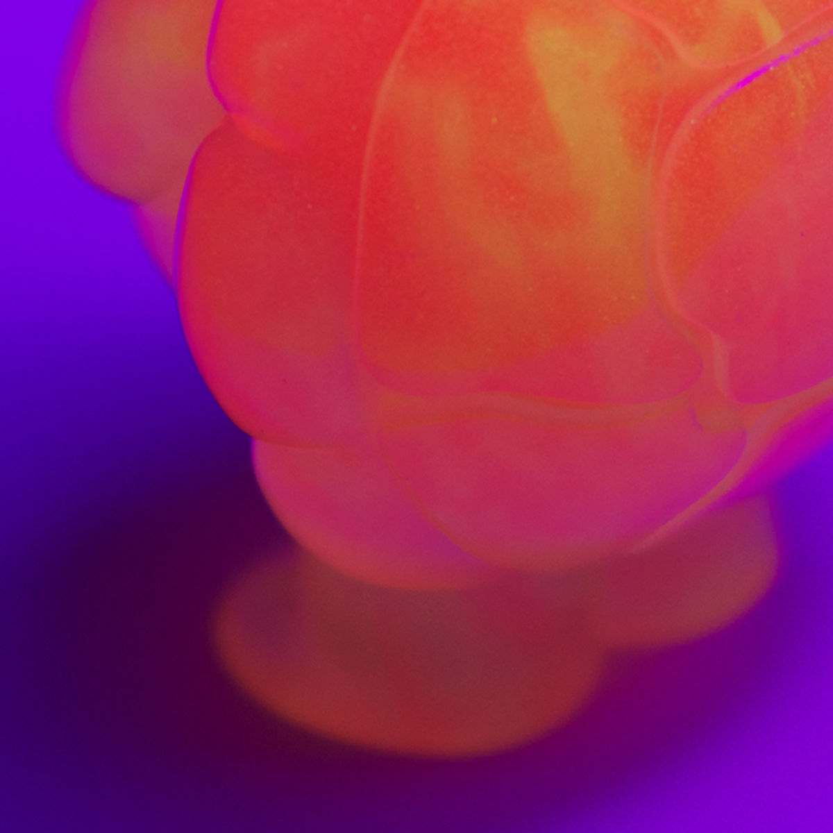 MMM3 - HI-C Glow Twertle