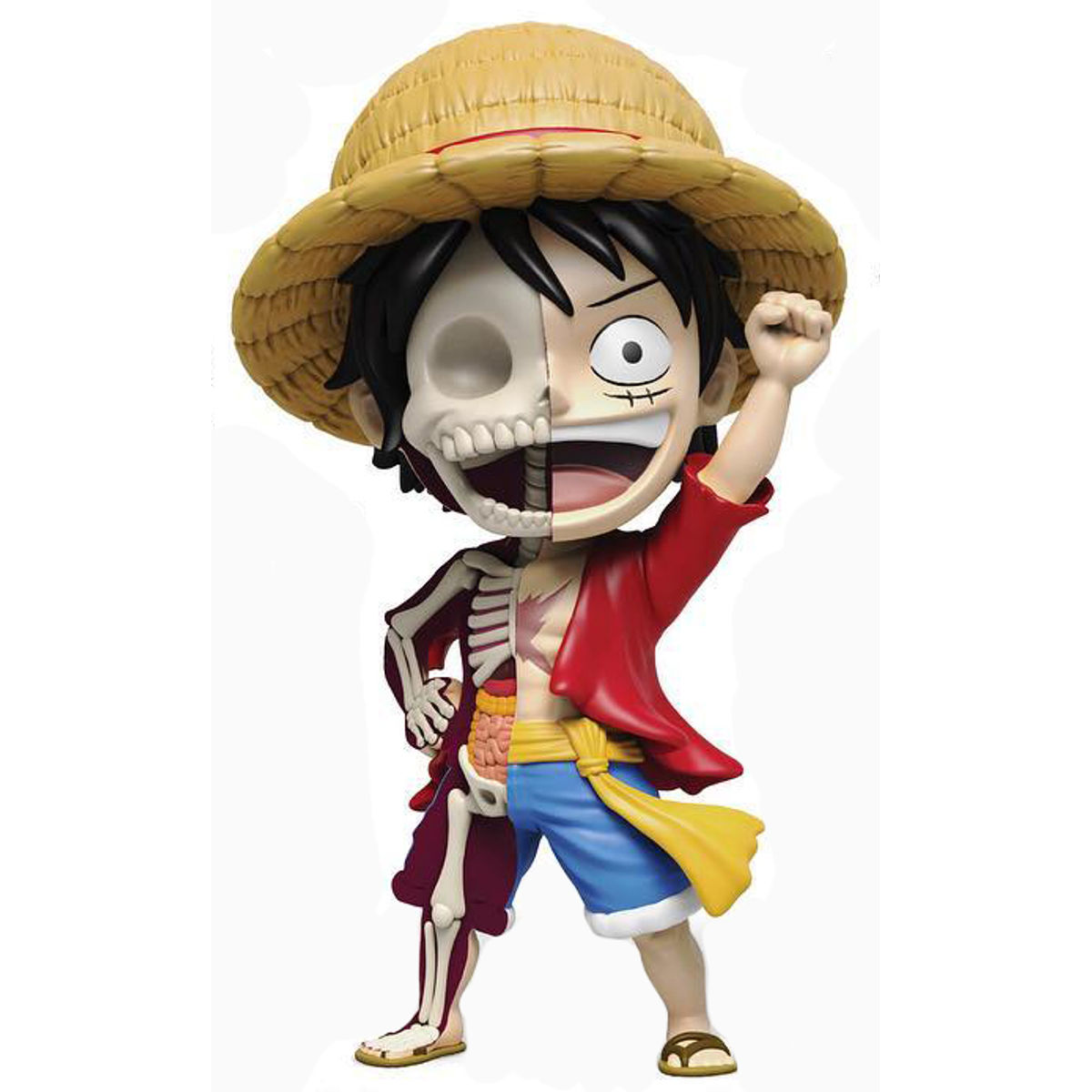 XXRay : One Piece Luffy