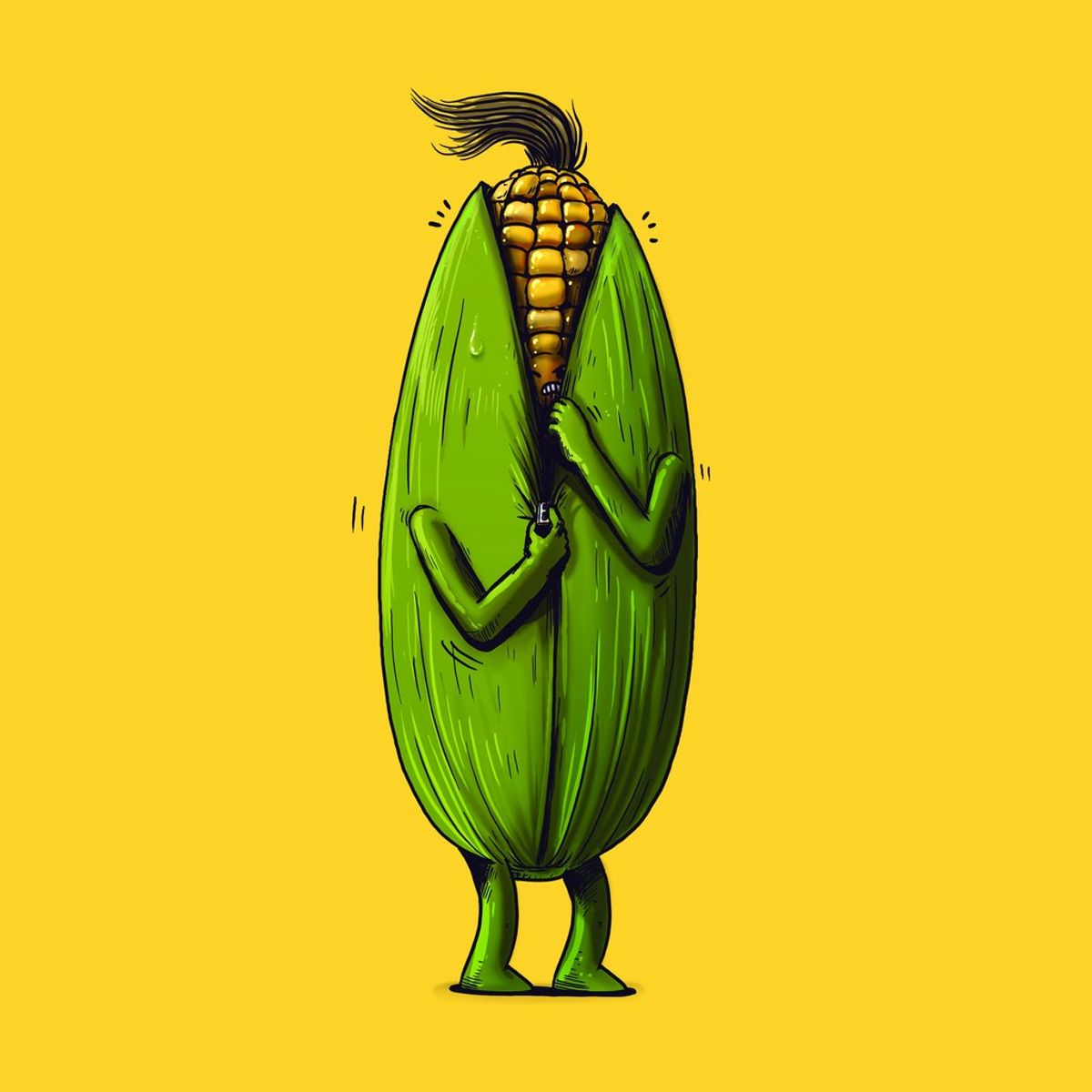 Stuck Zipper