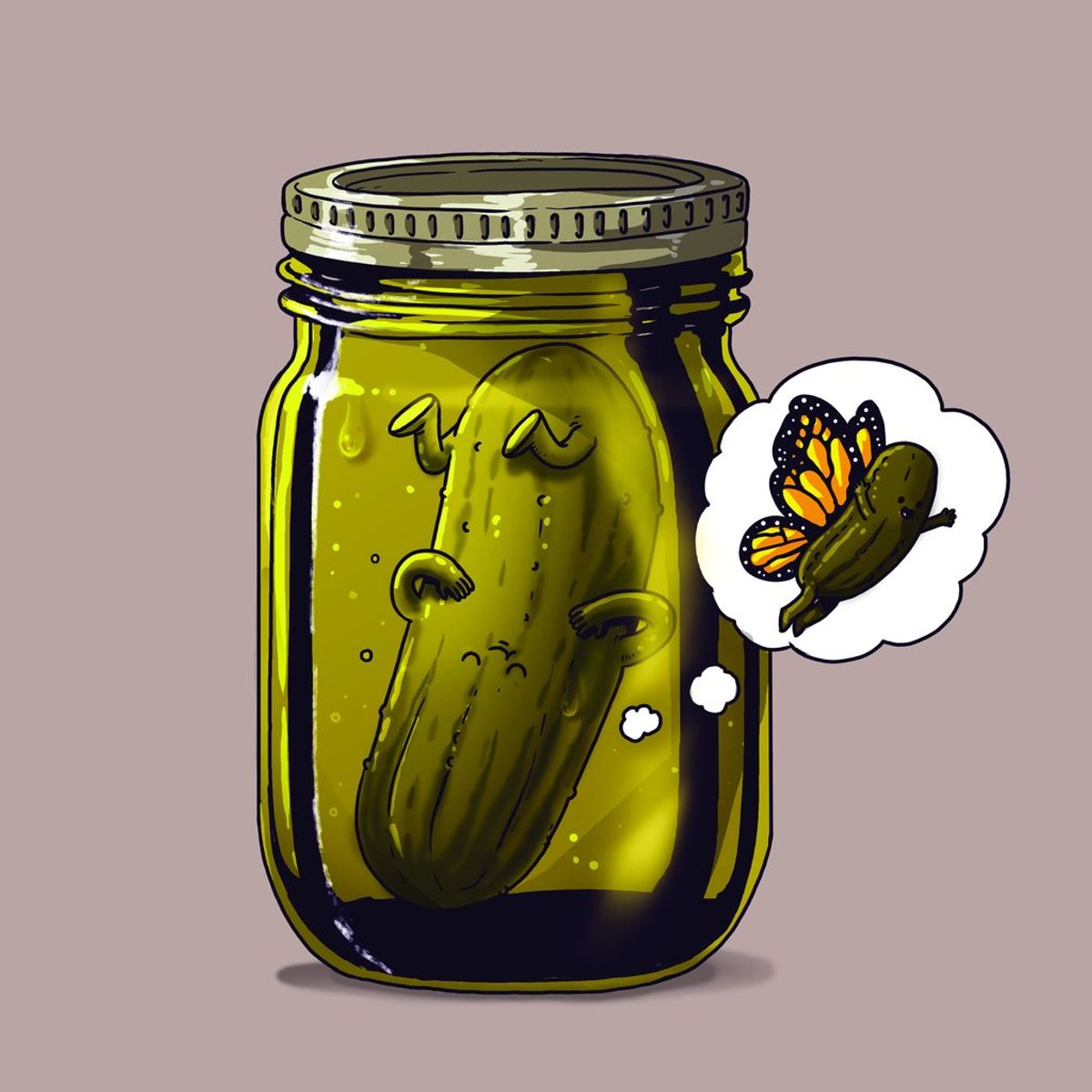 Pickle Metamorphosis Dreams