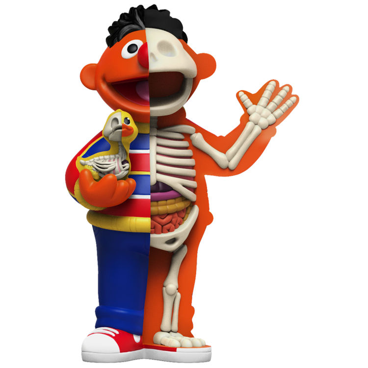 XXRay Plus : 8.5" Ernie by Jason Freeny