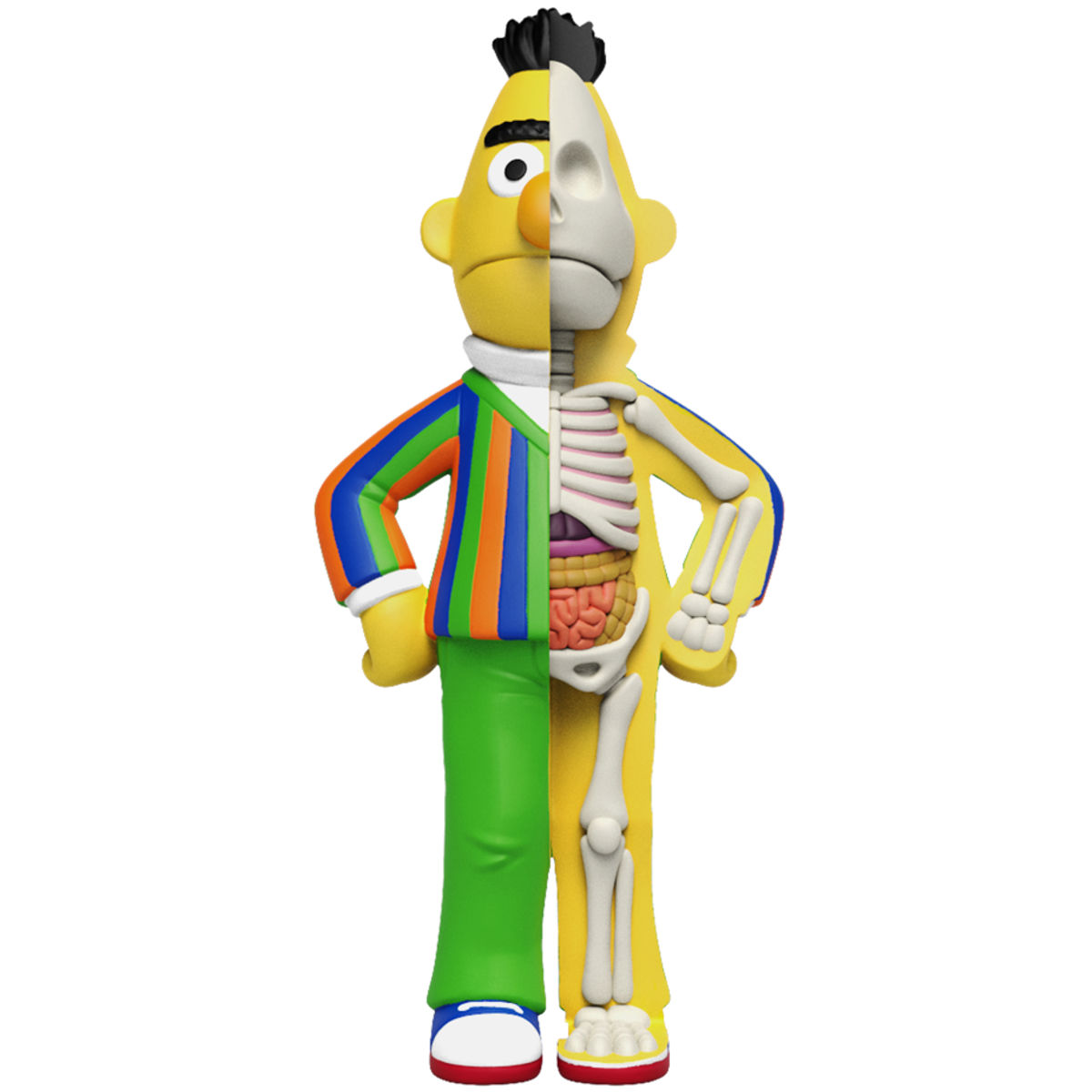 4" XXRay Sesame Street : Bert