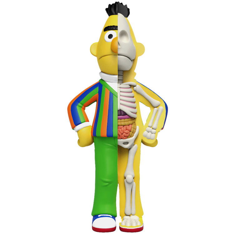 4" XXRay Sesame Street : Bert by Jason Freeny