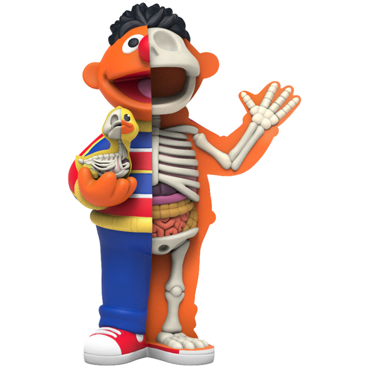 4" XXRay Sesame Street : Ernie