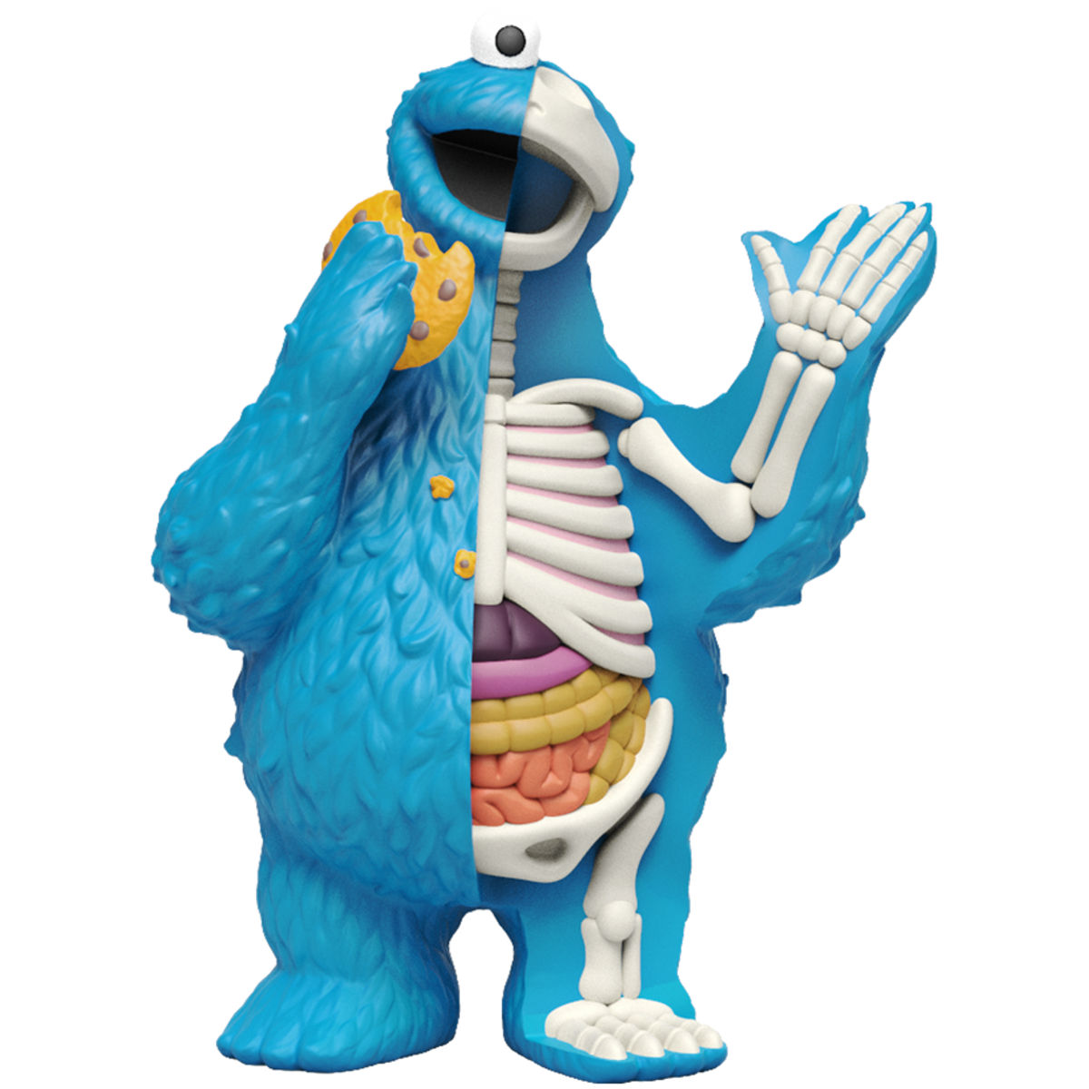 4" XXRay Sesame Street : Cookie Monster