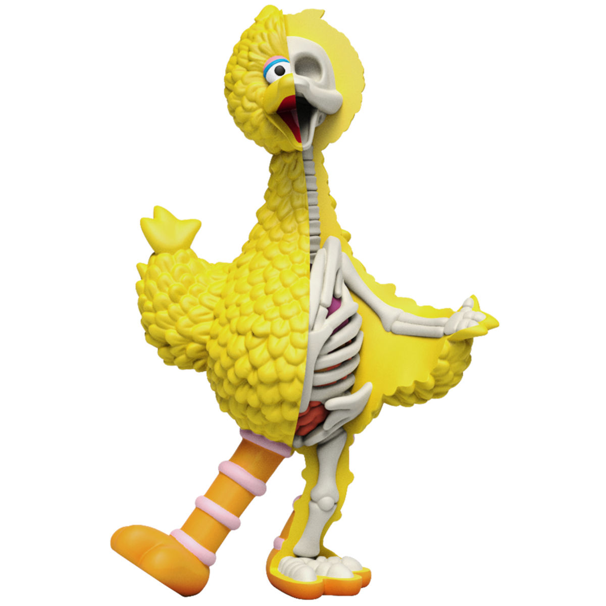 4" XXRay Sesame Street : Big Bird