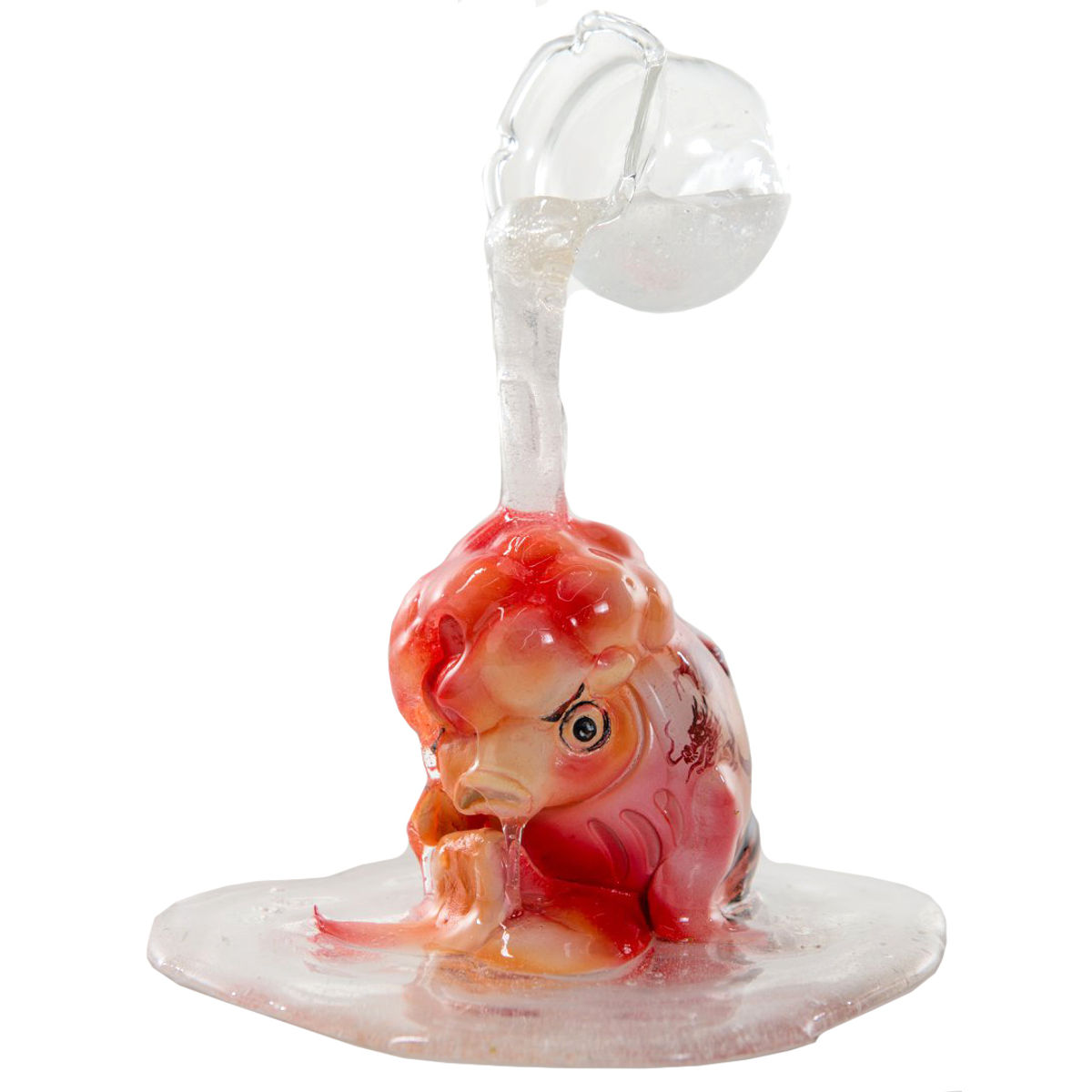 Goldfish Who wants to be Free
