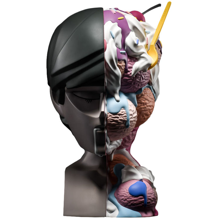 Anatomy Meltdown by Coarse