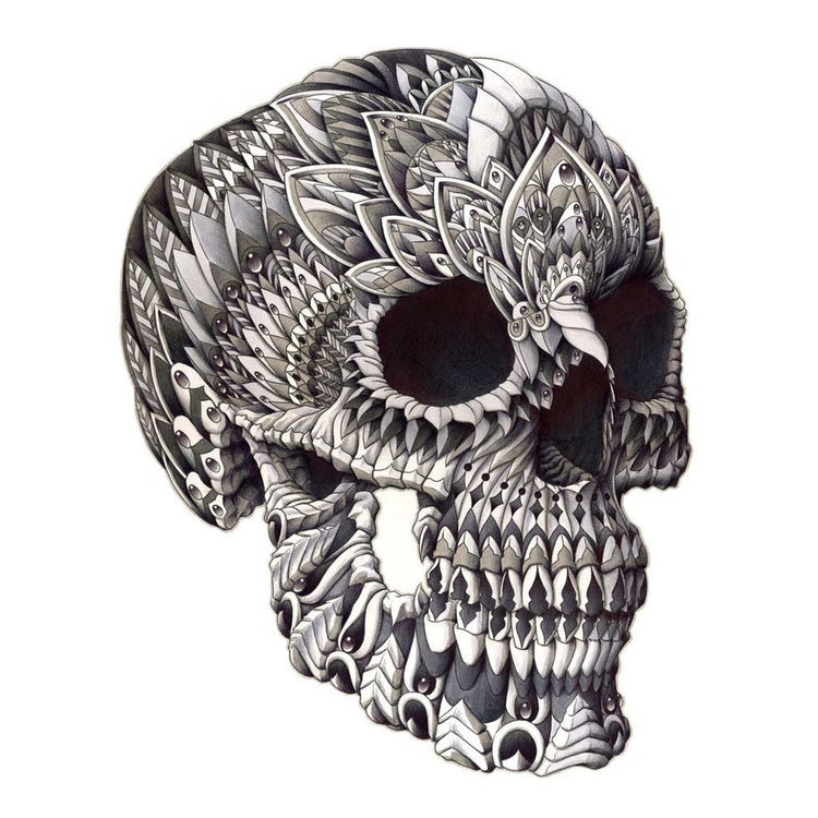 Ornate Skull by Bioworkz