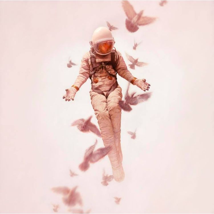 Wilderness by Jeremy Geddes
