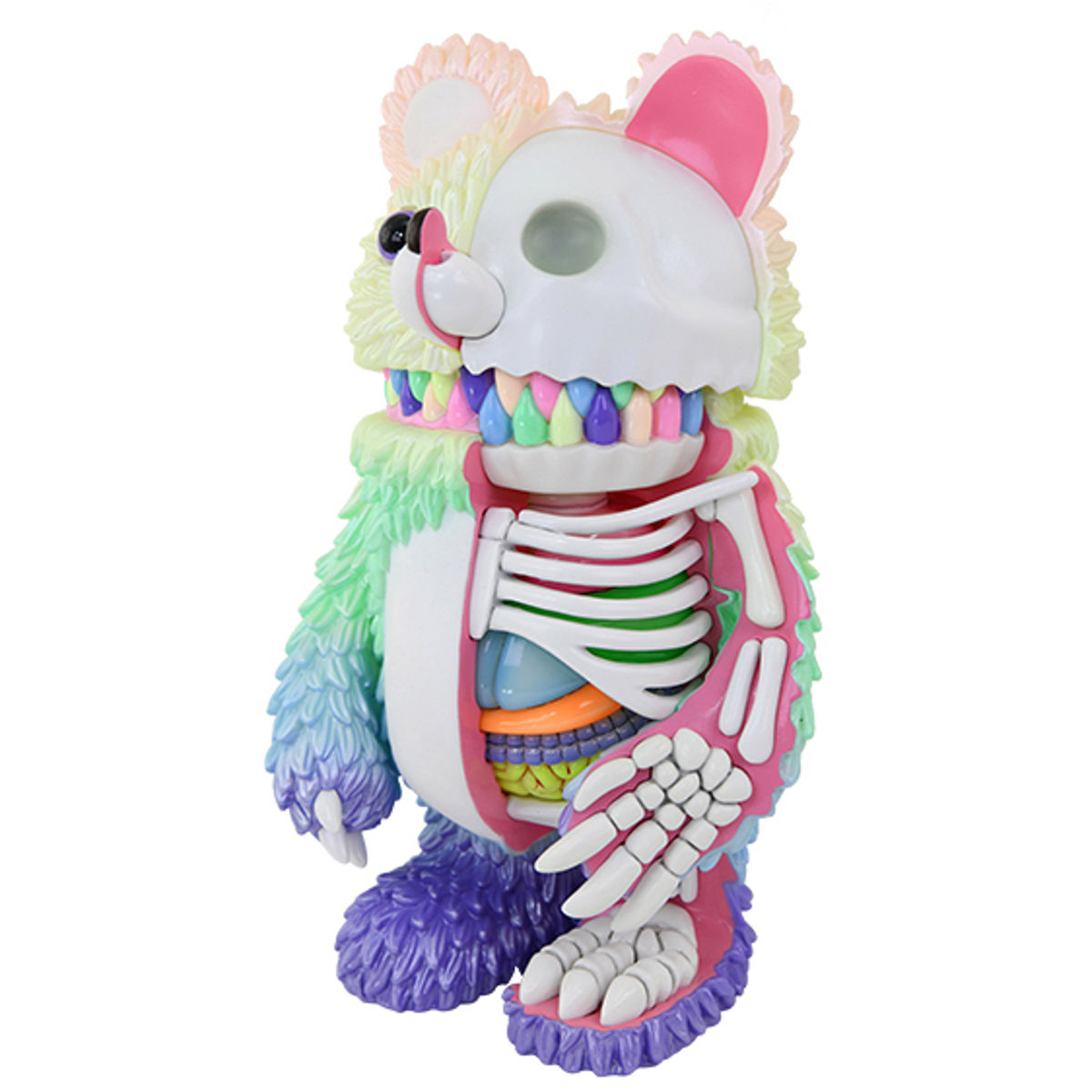 Rainbow Anatomical Muckey