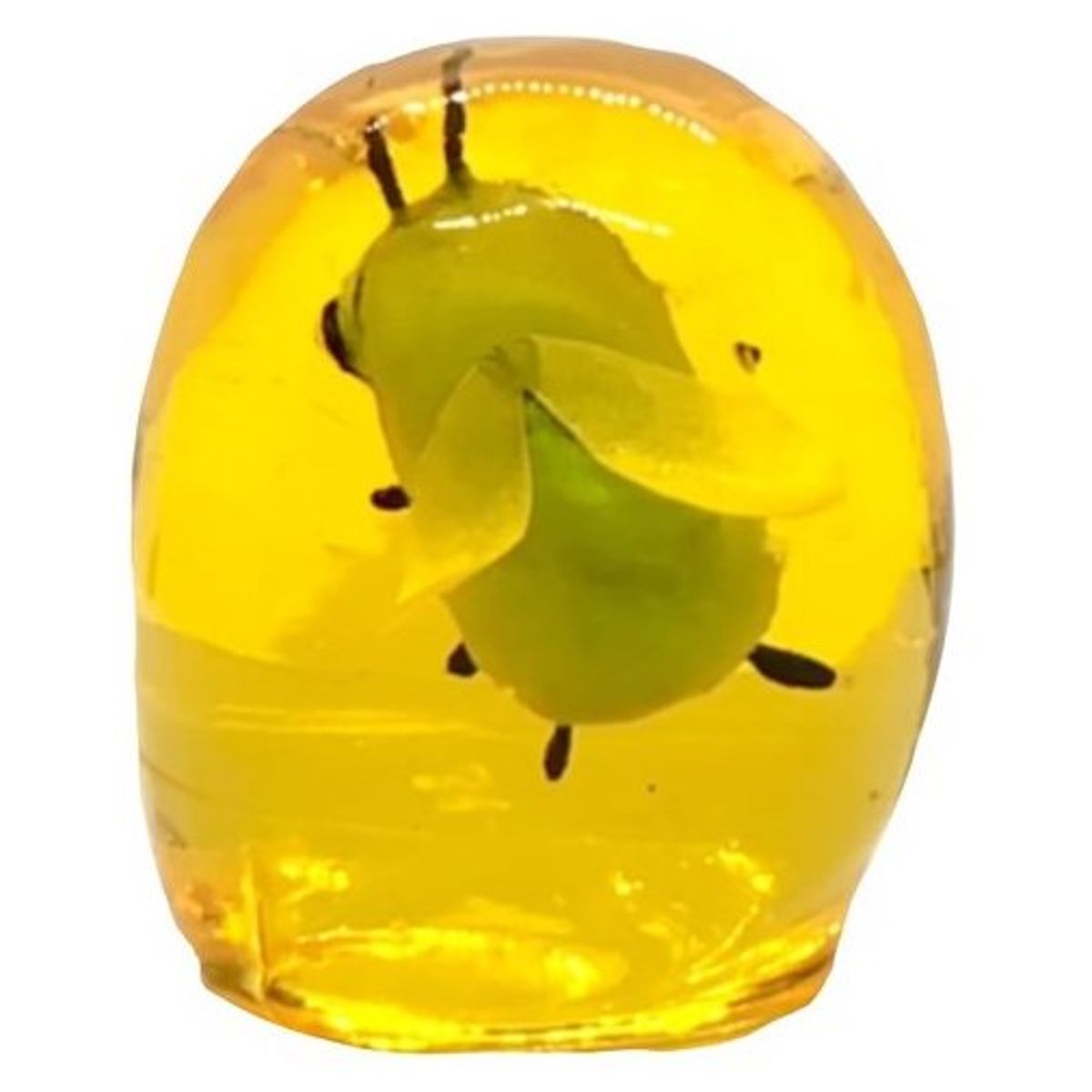 Bug in Amber #2