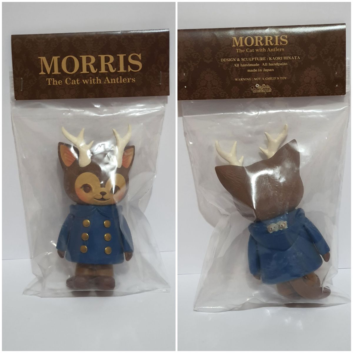 British Blue Coat Morris