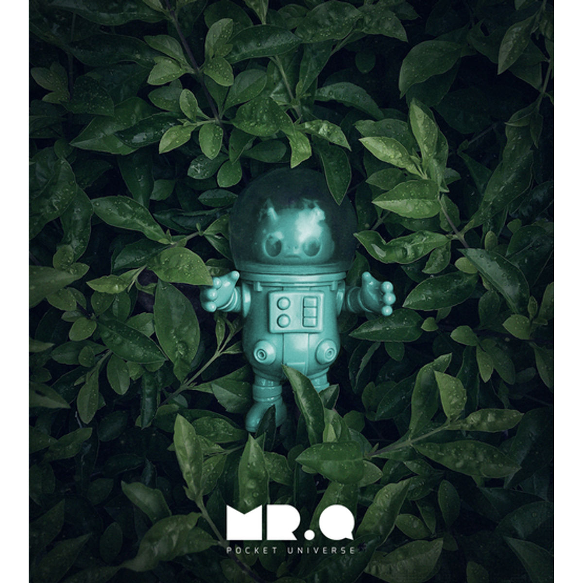 Mint Mr. Q