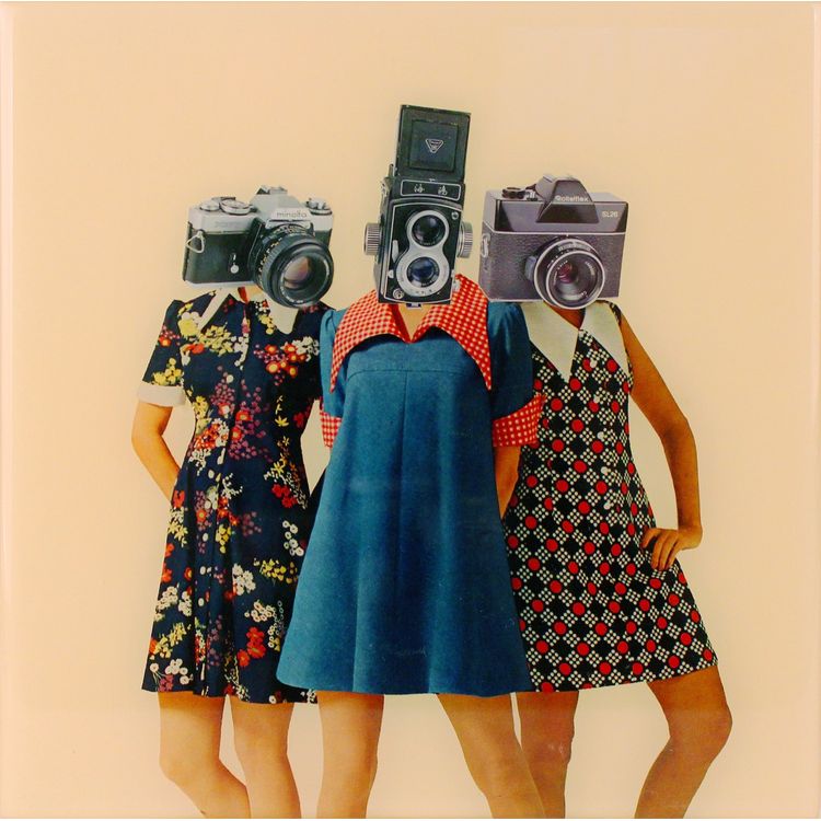 We'll be the Judge by Netherland (David Van Alphen)