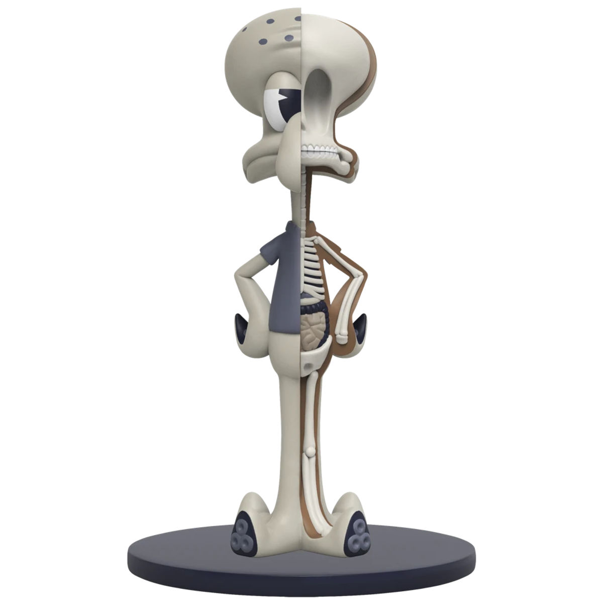 XXRay Spongebob Squarepants : Squidward