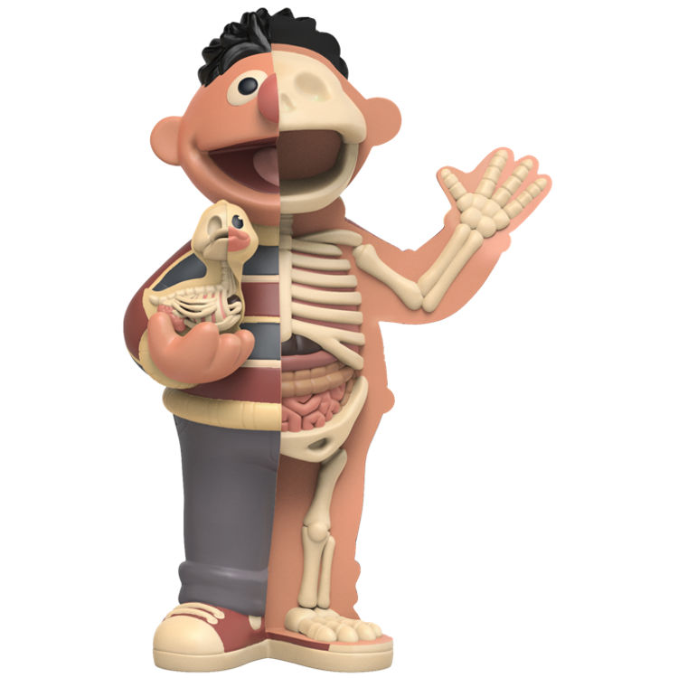 XXRay Plus : 9" Vintage Ernie by Jason Freeny