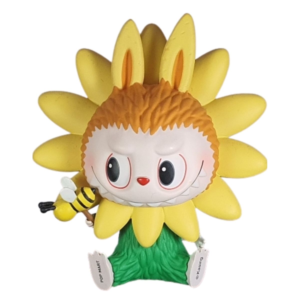 Hellanthus Sun Flower