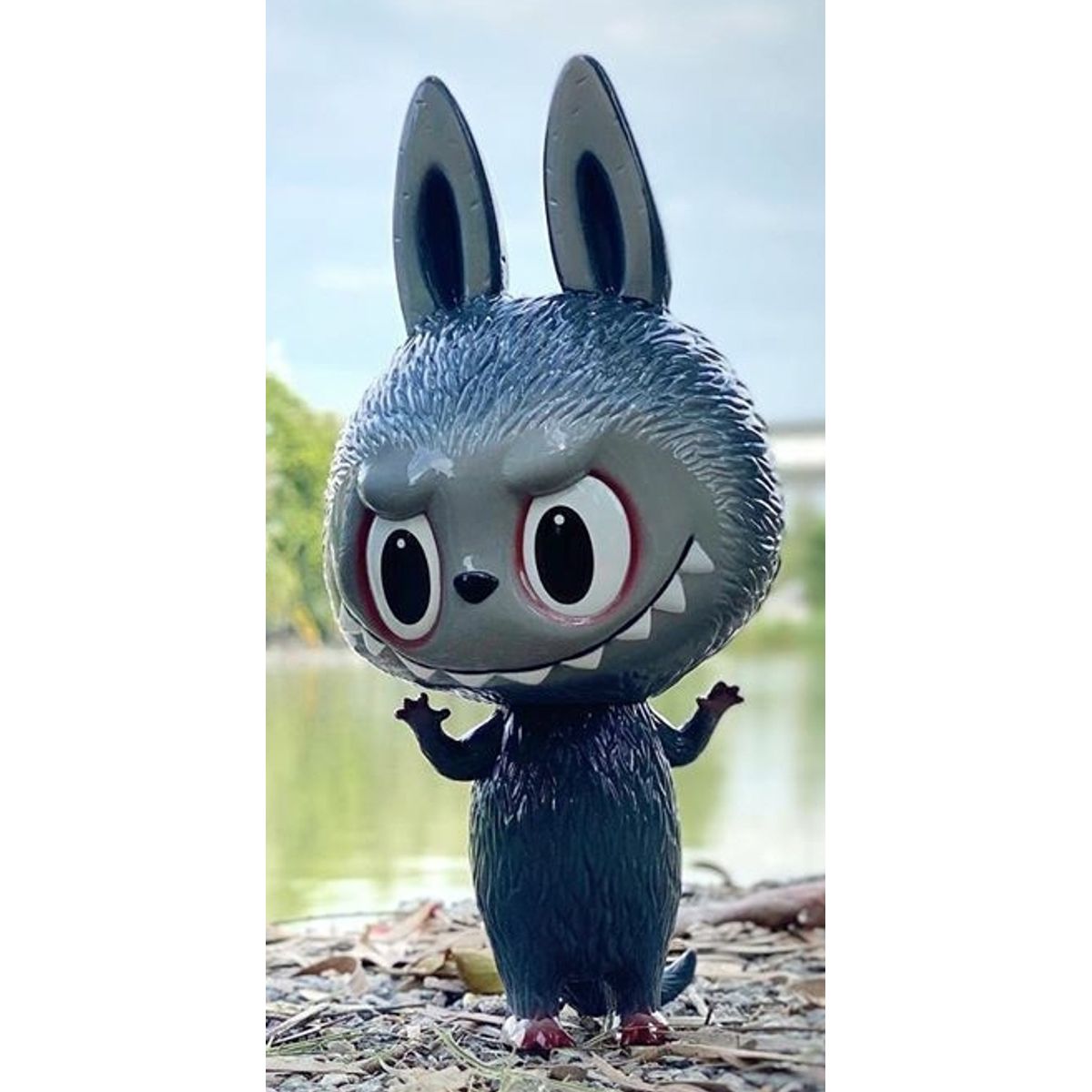 Grey Zimomo