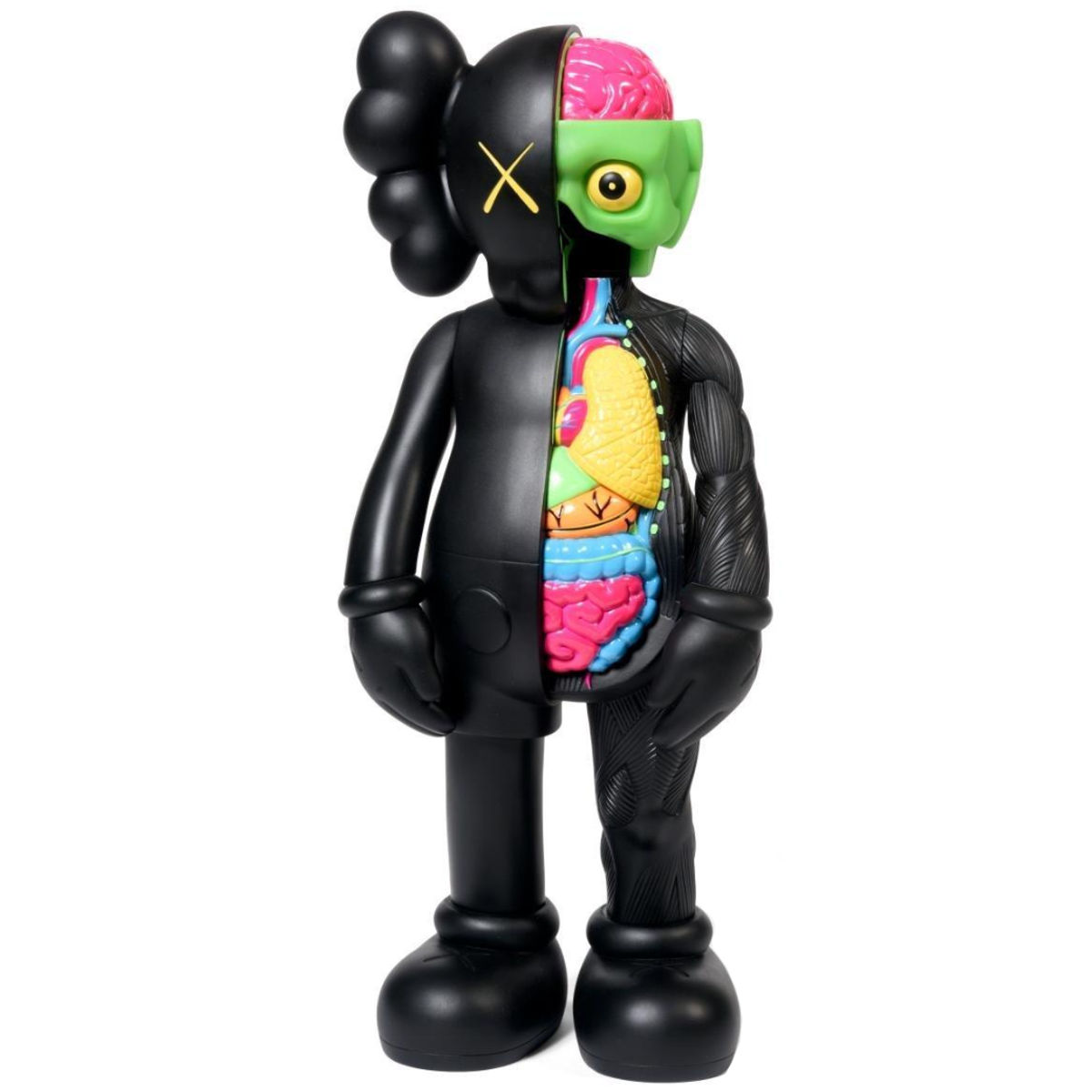 Black Dissected 5YL Companion