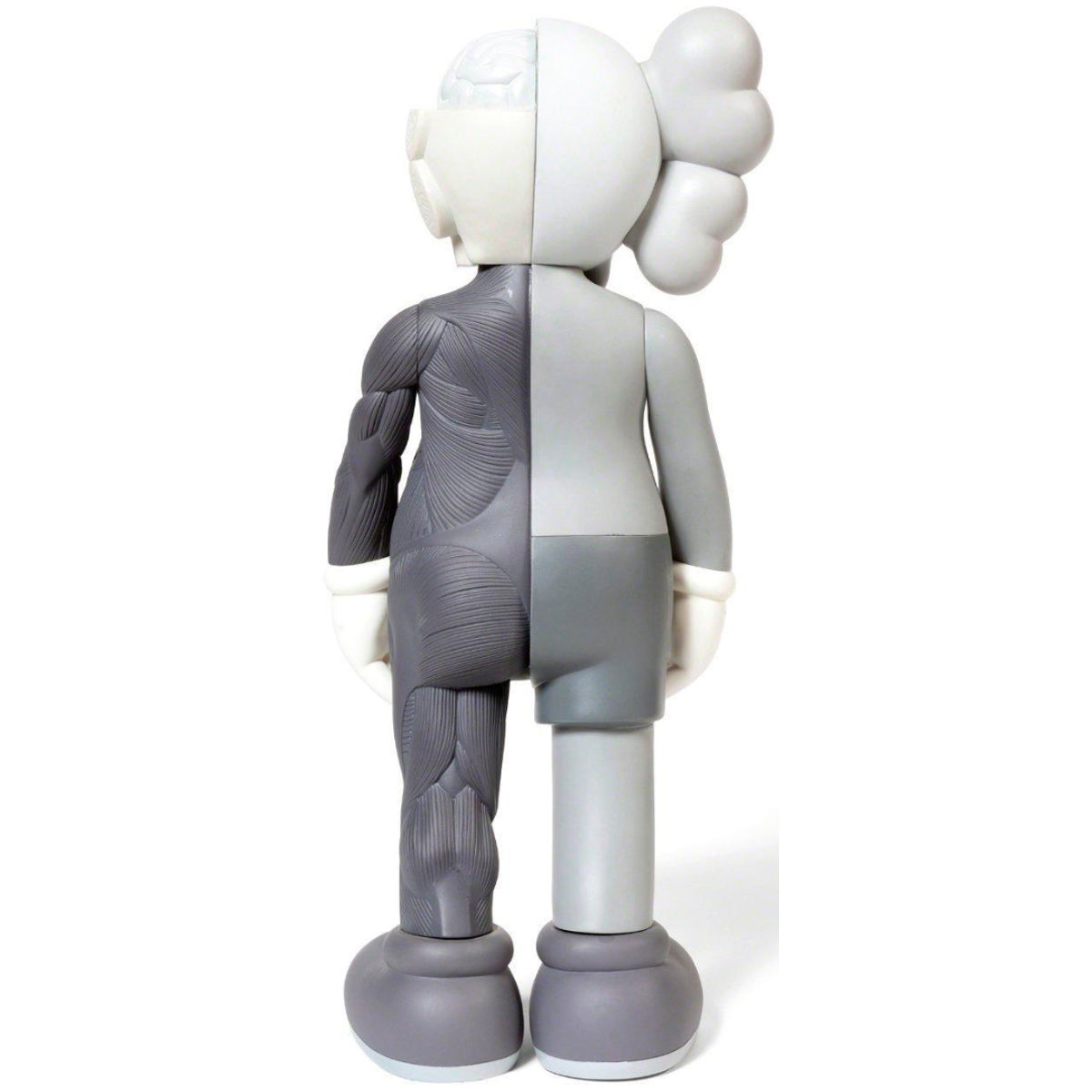 Mono Dissected 5YL Companion