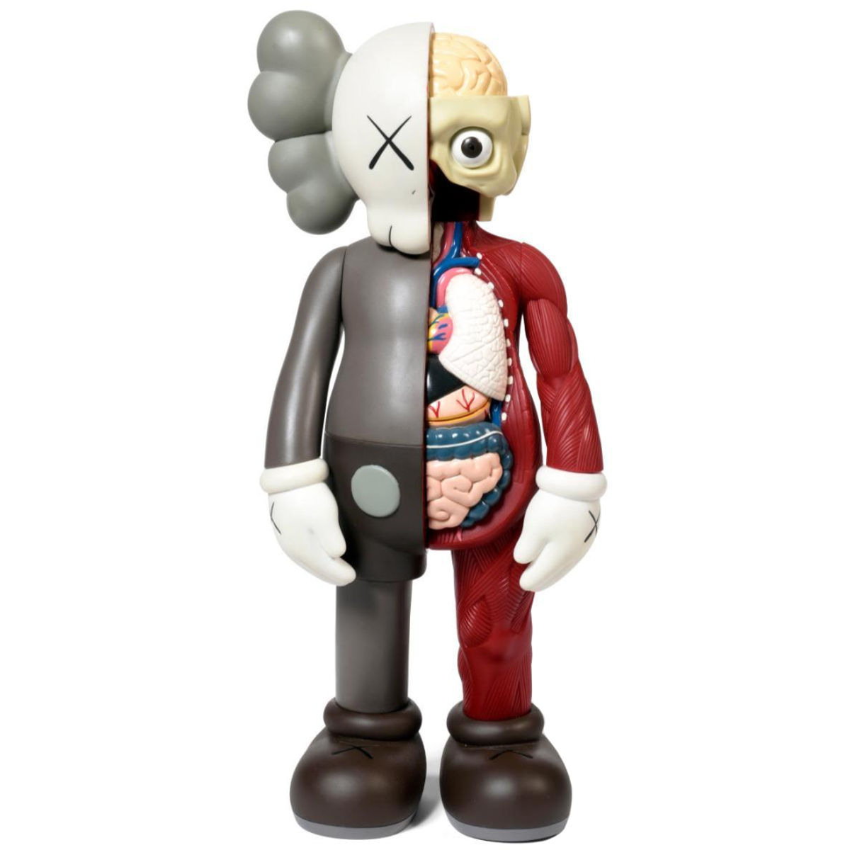 Brown Dissected 5YL Companion