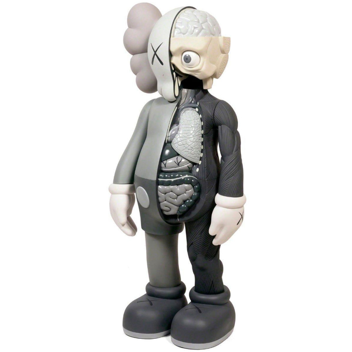 4-foot Mono Dissected Companion