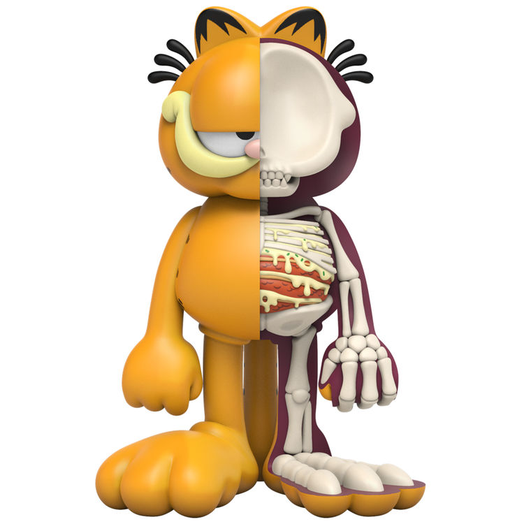 8" XXRay Plus : Garfield by Jason Freeny