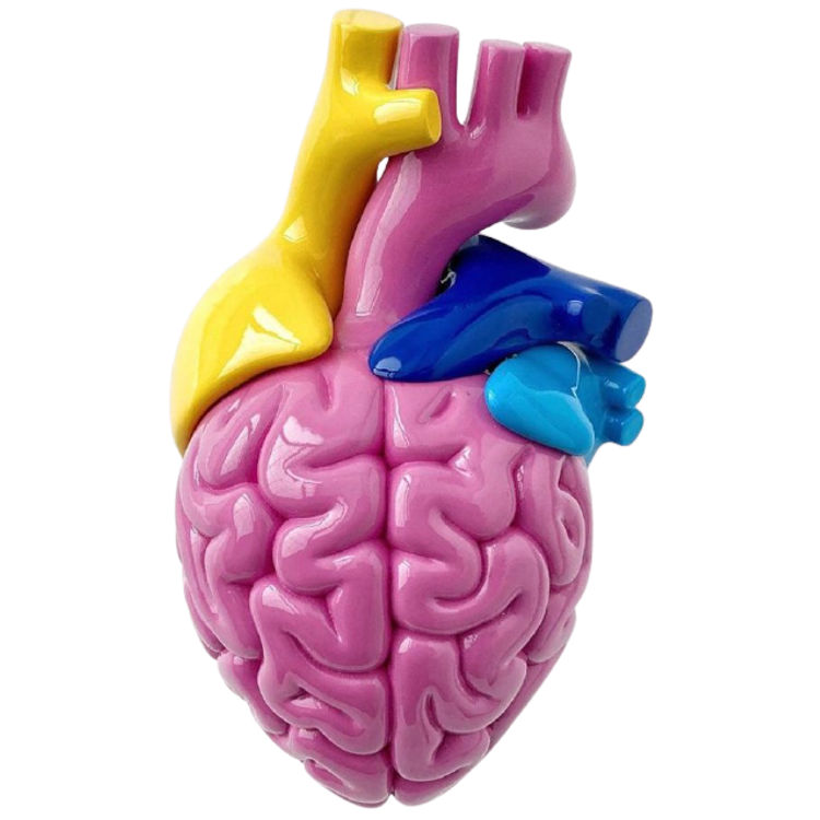 Pink Brain Heart by Emilio Garcia