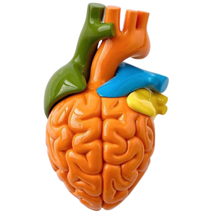 Orange Brain Heart by Emilio Garcia
