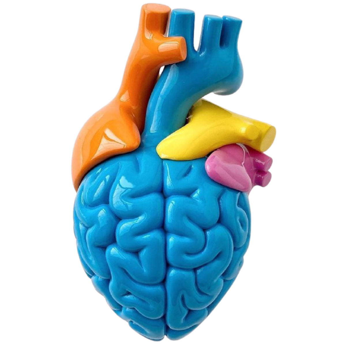 Blue Brain Heart