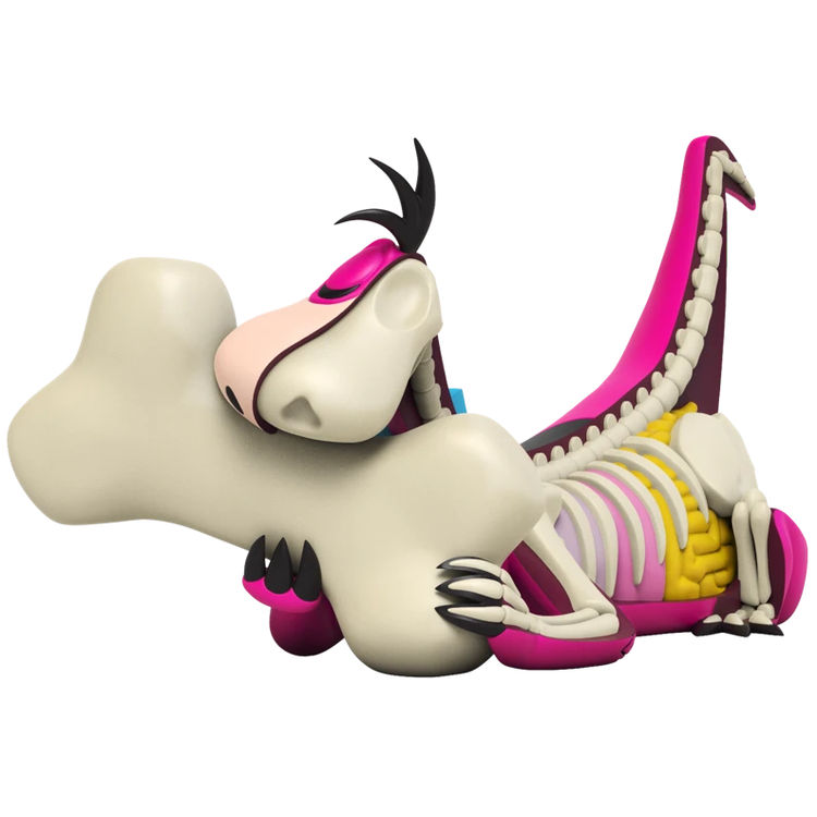 XXRay Plus : Dino by Jason Freeny