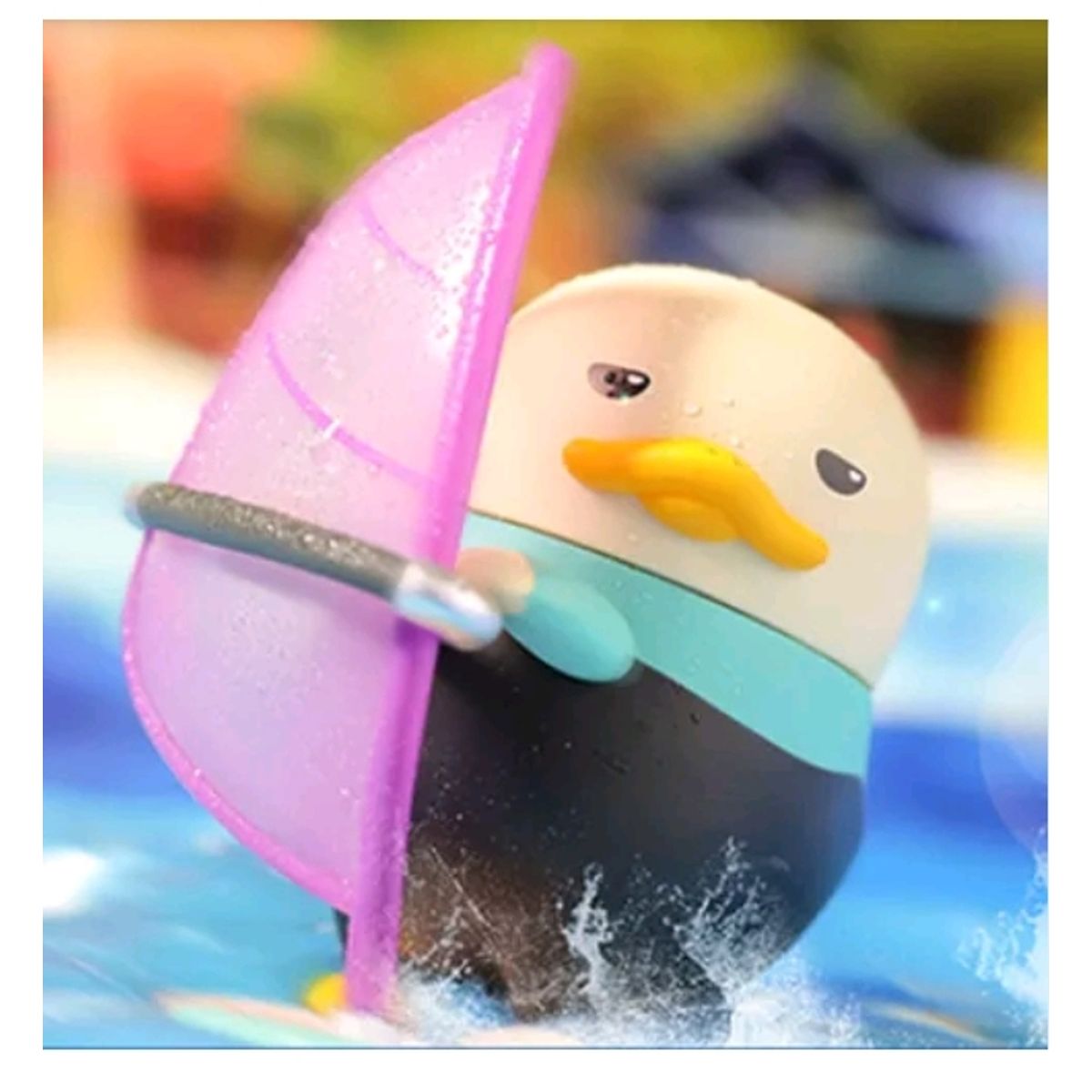 Wind Surfer