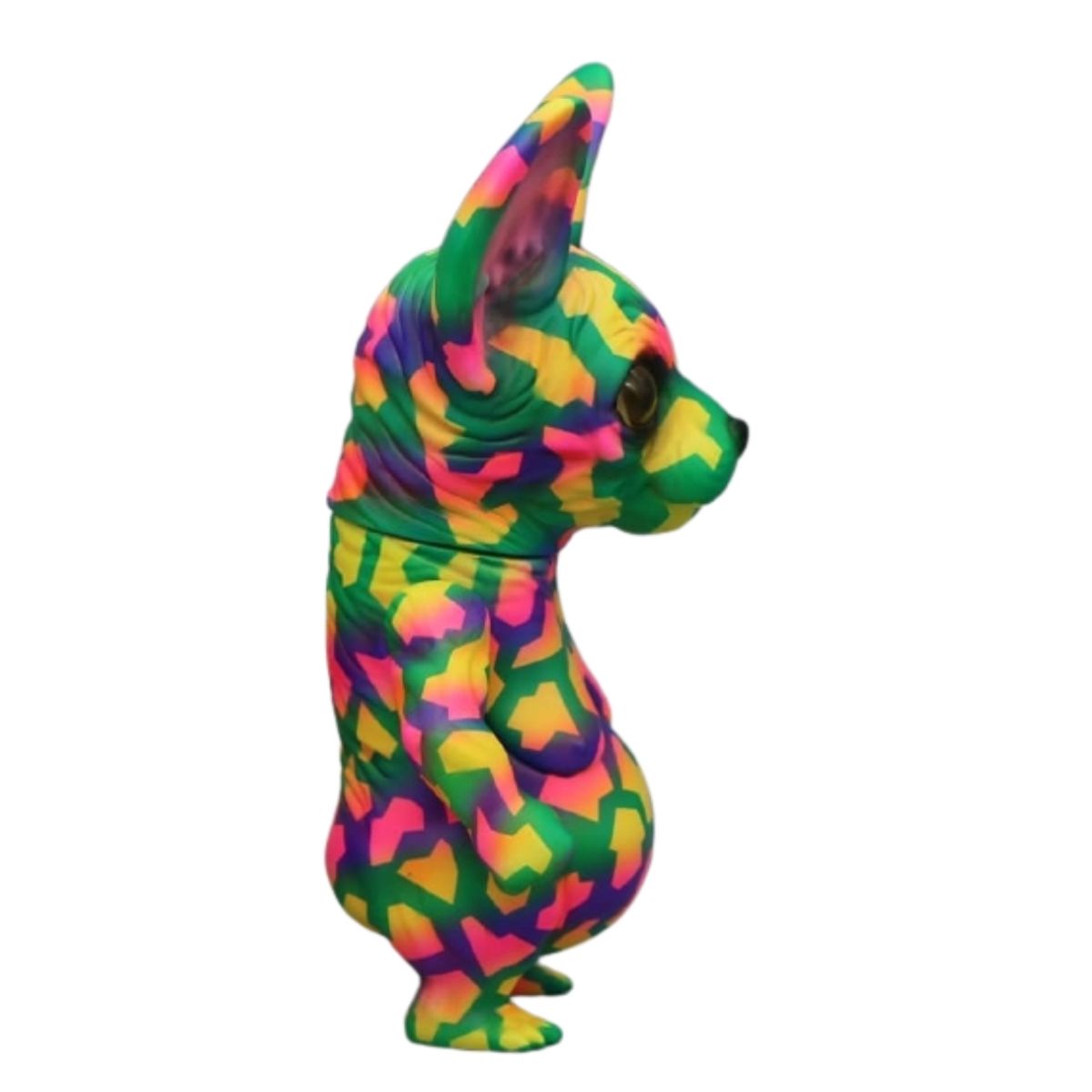 Fancy Camouflage Hairless Cat