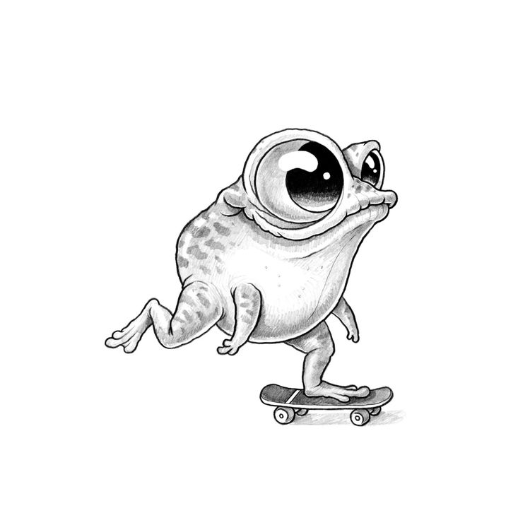 Original Drawing Skater Frog by Chris Ryniak