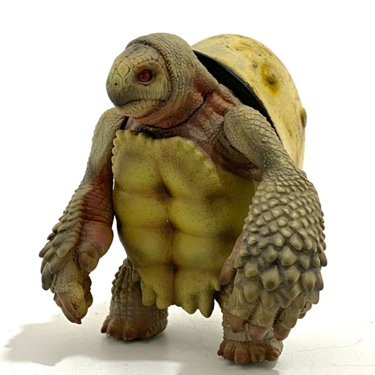 WWII German red eyed sand turtle by Moss