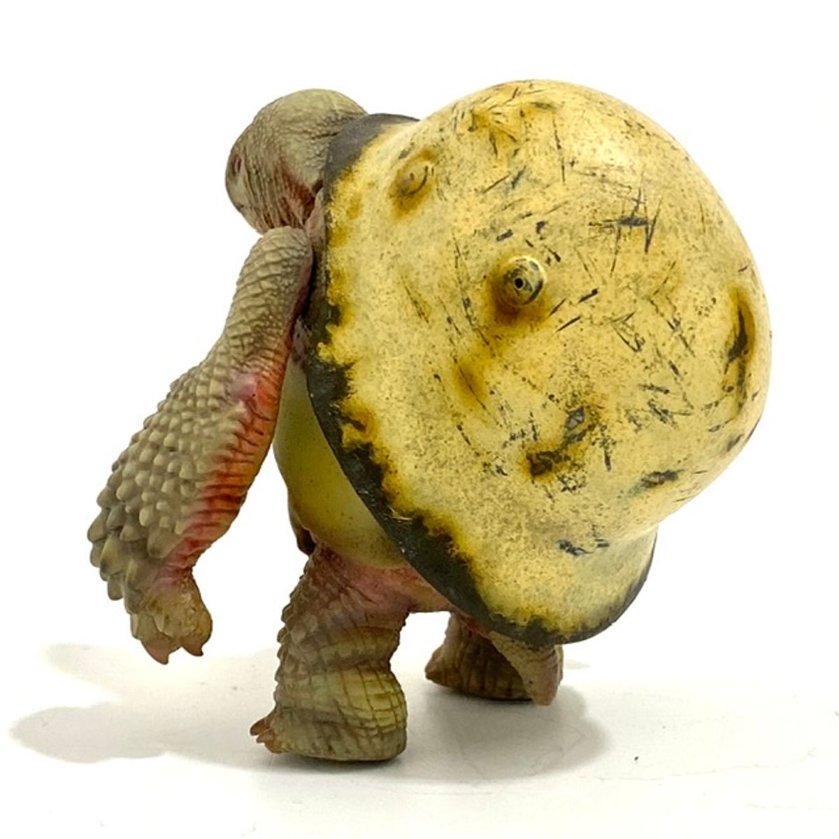 WWII German red eyed sand turtle