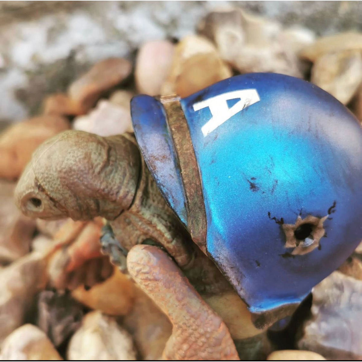 Captain America Themed