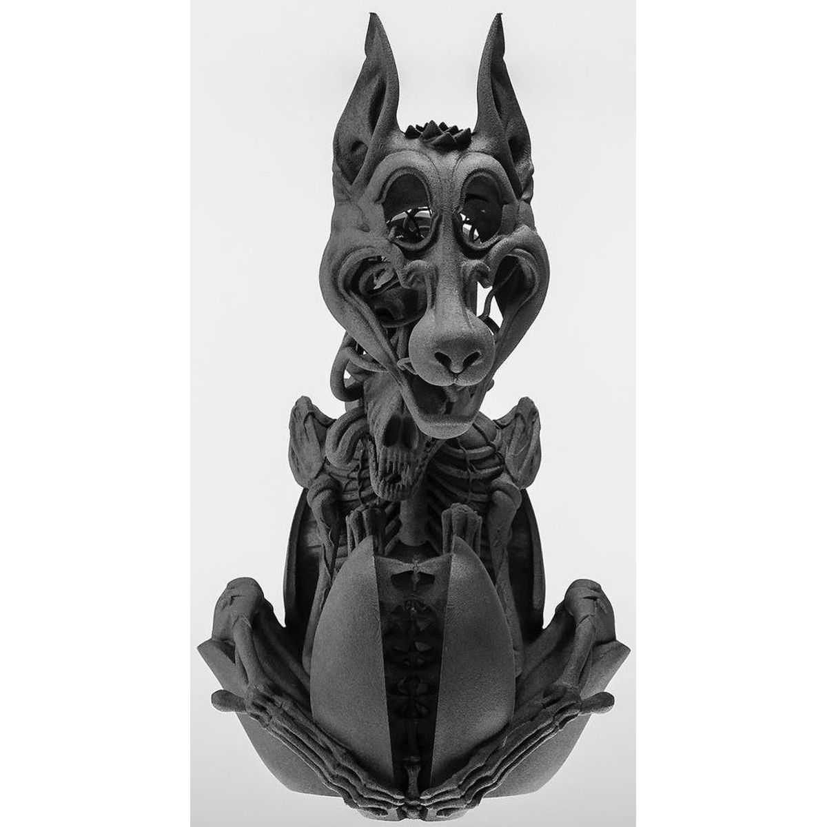 Dissection of a Wolf