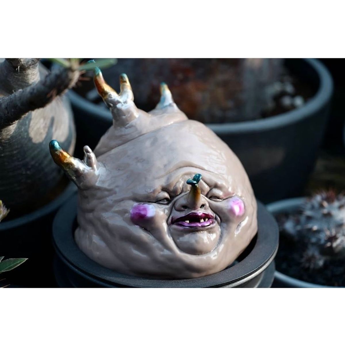 P. Gracilius 1st Version