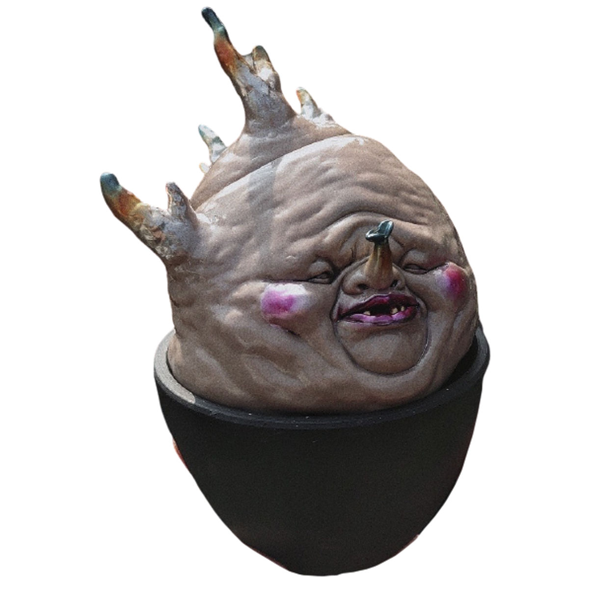 P. Gracilius 1st Version