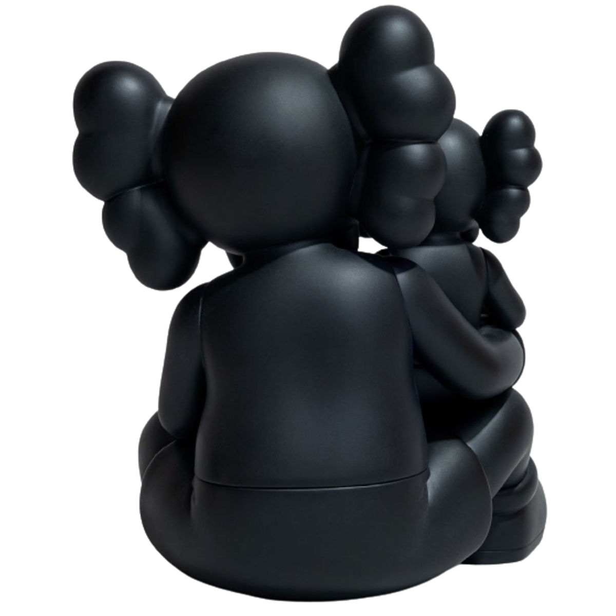 Black Changbai Mountain Holiday Companion