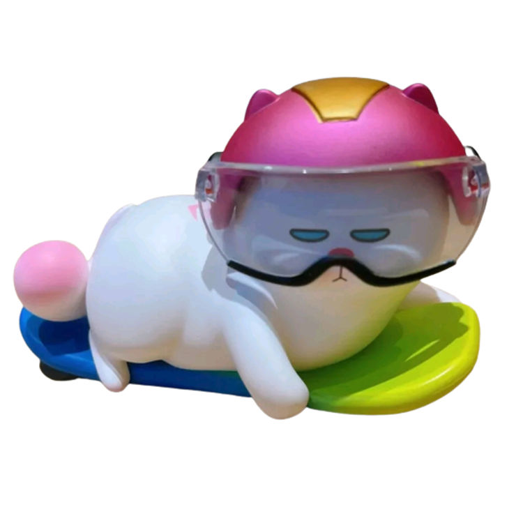 Ski Helmet by ViviCat