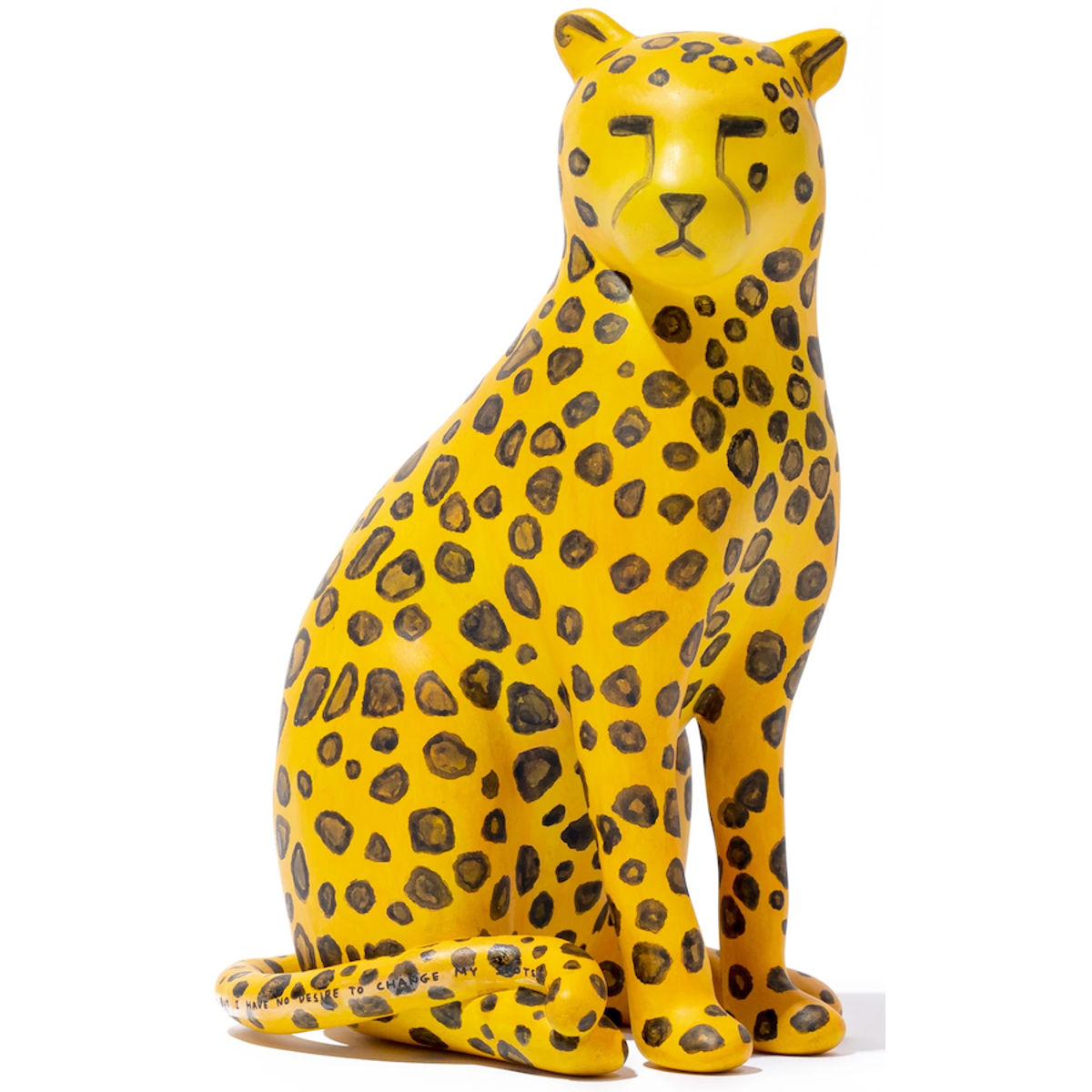 I Cannot Change My Spots But I Have No Desire To Change My Spots