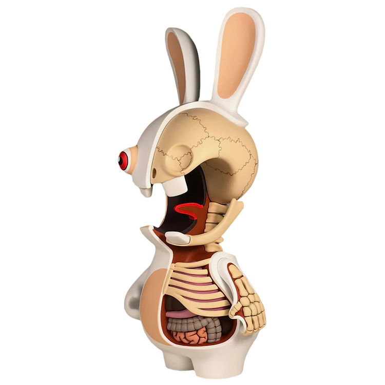 Raving Rabbid Anatomy by Jason Freeny