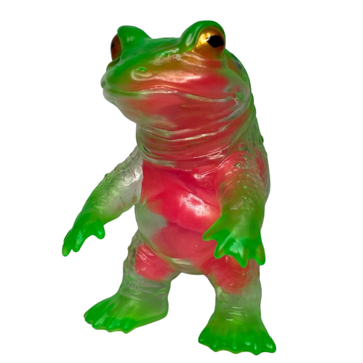 Transparent Kelonga Sea Frog